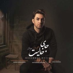 دانلود آهنگ محمد محبی جای خالیت
